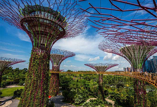 Jonite Projects- Gardens by the Bay Singapore
