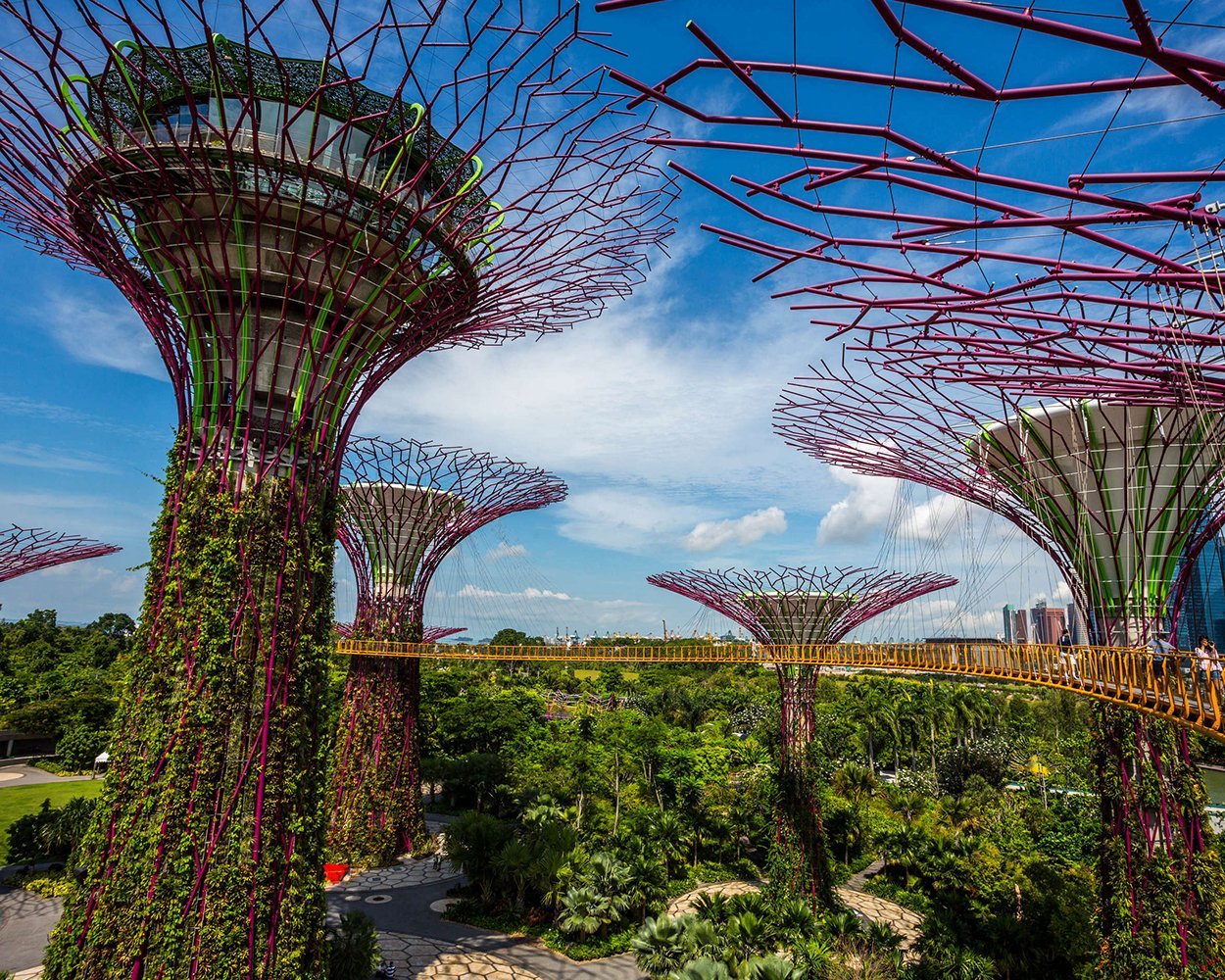 Jonite Projects- Gardens by the Bay Singapore