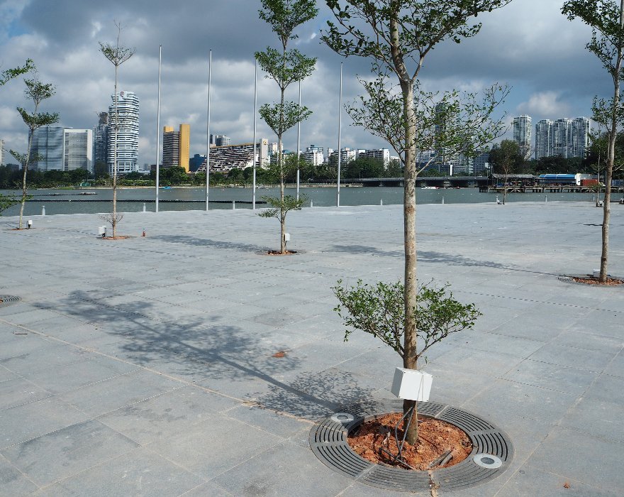 Modern and clean Jonite tree grates in Singapore Sports Hub