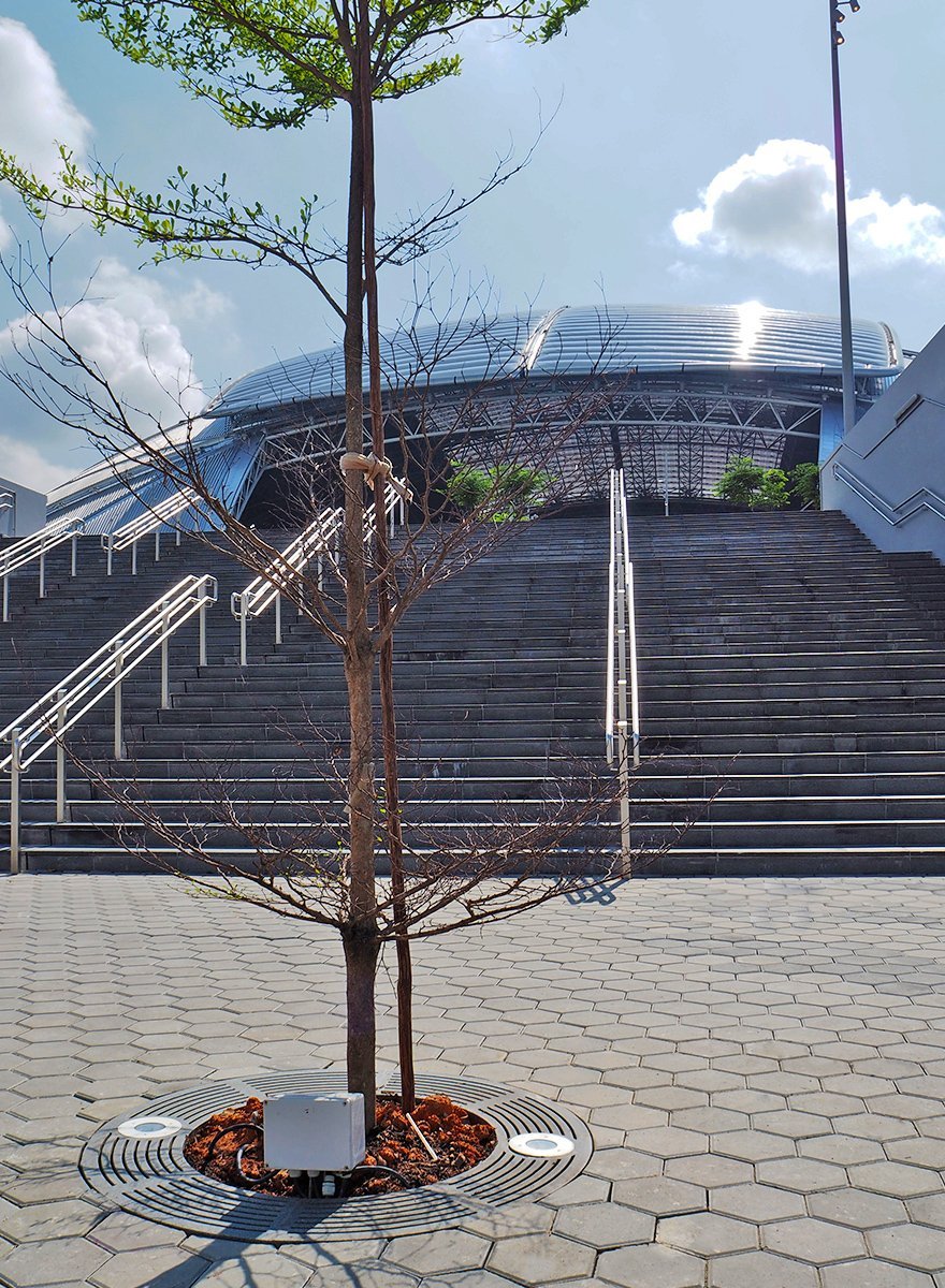 Jonite tree grates in Singapore Sports Hub