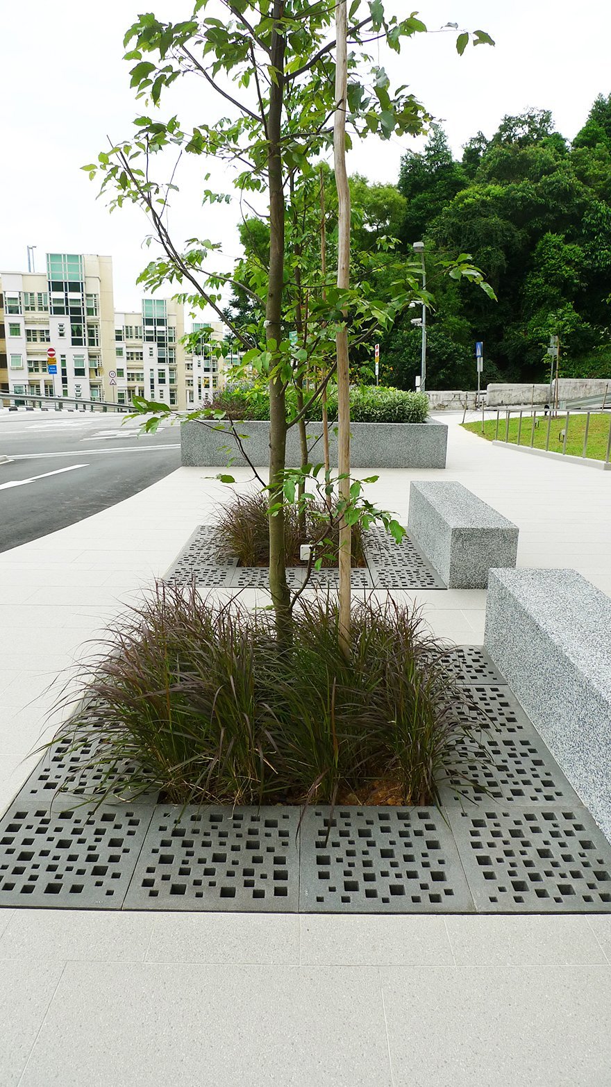 square Jonite stone tree grates around plans at NUHS