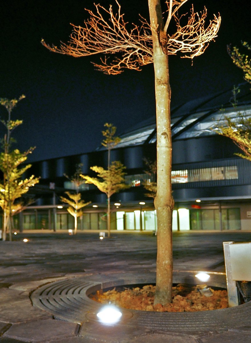 Atmospheric Jonite tree grates lighted with custom light ports Singapore Sports Hub