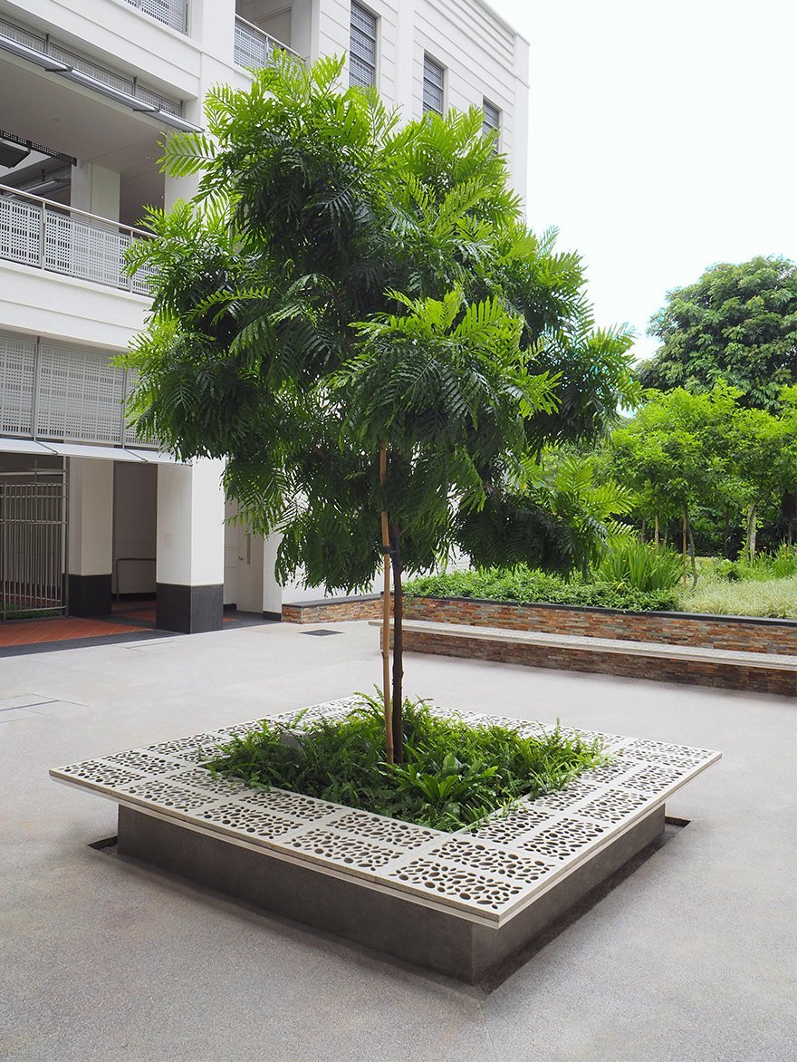 tree at Yale NUS with plants at the base and stone seating around it