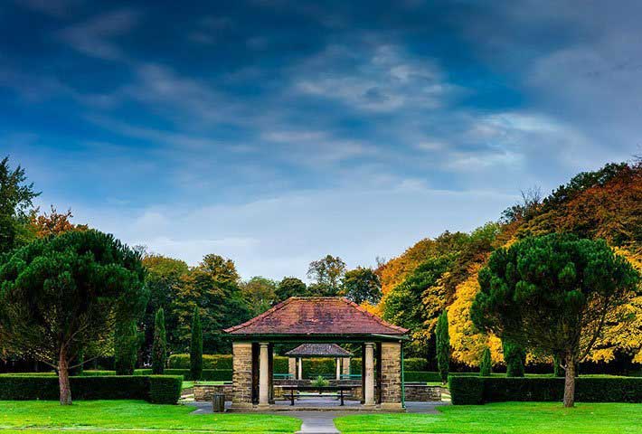Jonite Insight-Comparing French vs English Garden Landscaping