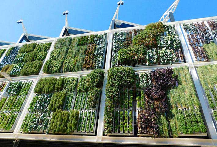 Jonite Insight-Agriculture Architecture