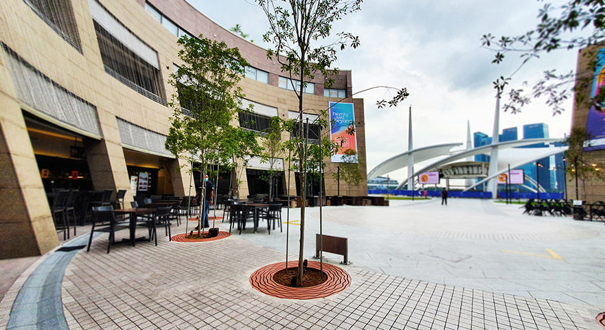 multiple trees with Jonite tree grates around them