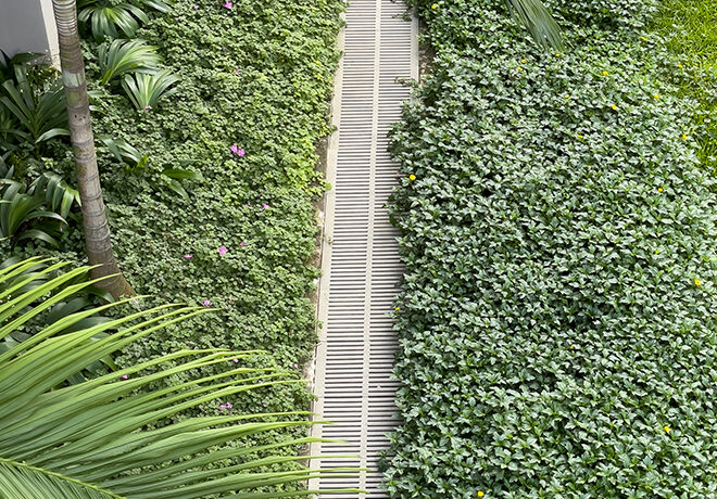 Jonite trench grate installed among greenery