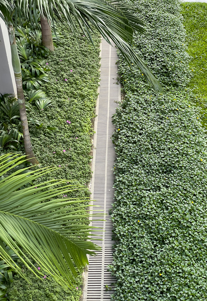 Jonite trench grate installed among greenery