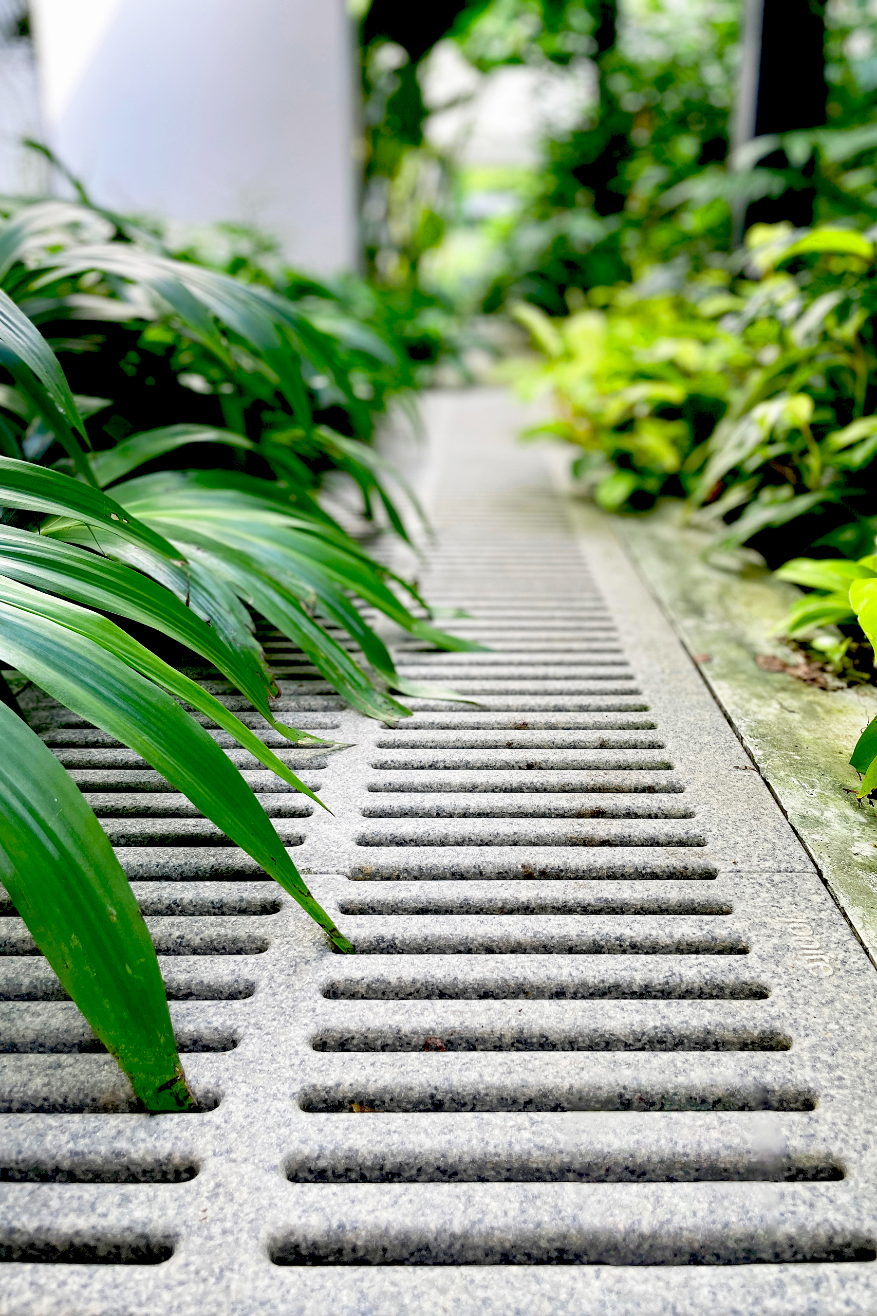 green plant leaves resting on top of Jonite trench grates