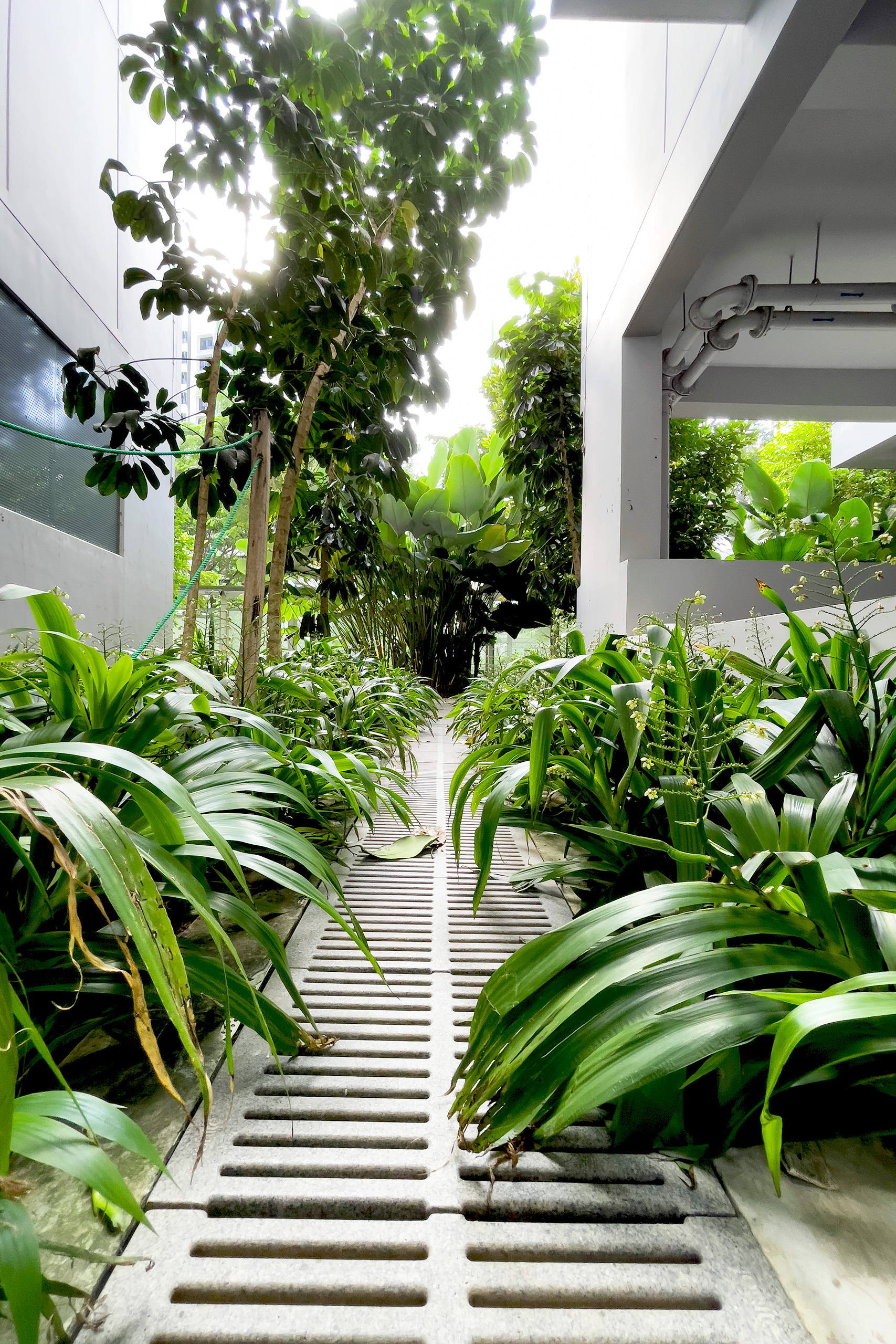 Jonite stone trench grates installed between greenery at the Bidadari Housing Development